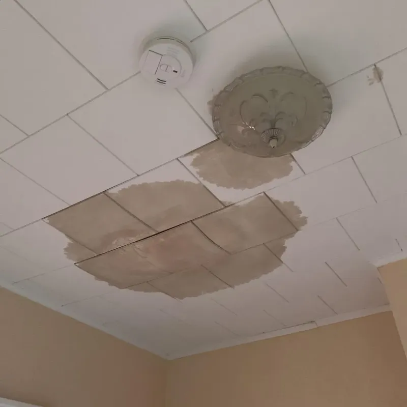 Ceiling Water Damage Repair in Andover, MN