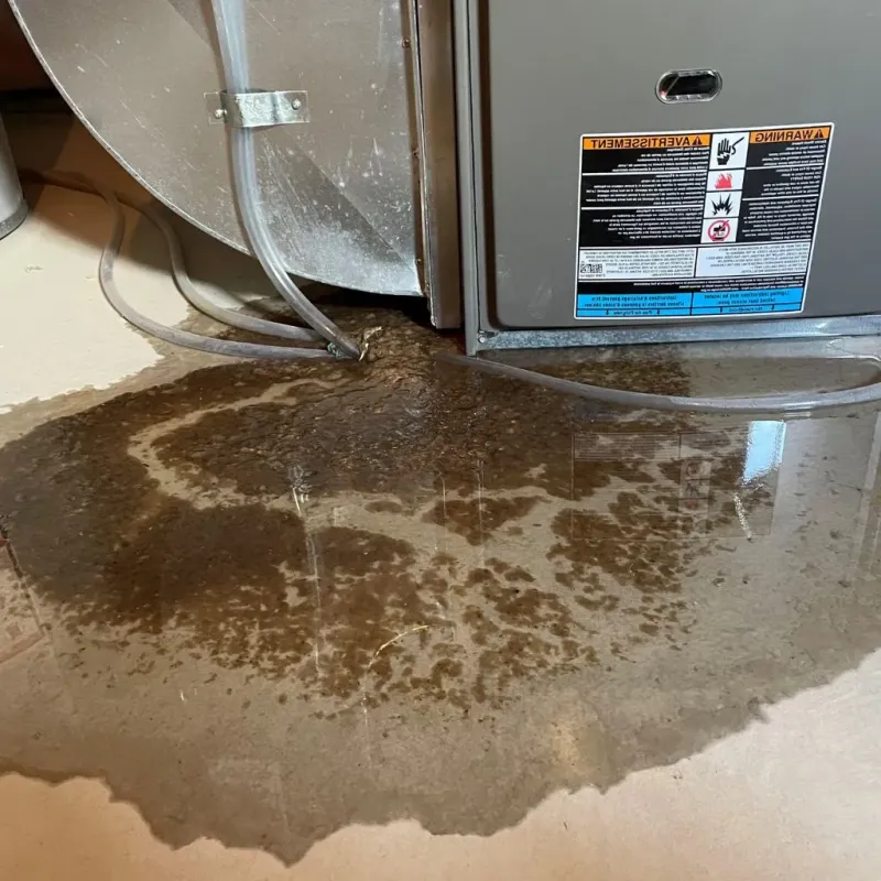 Pipe Burst and Leak Restoration in Andover, MN