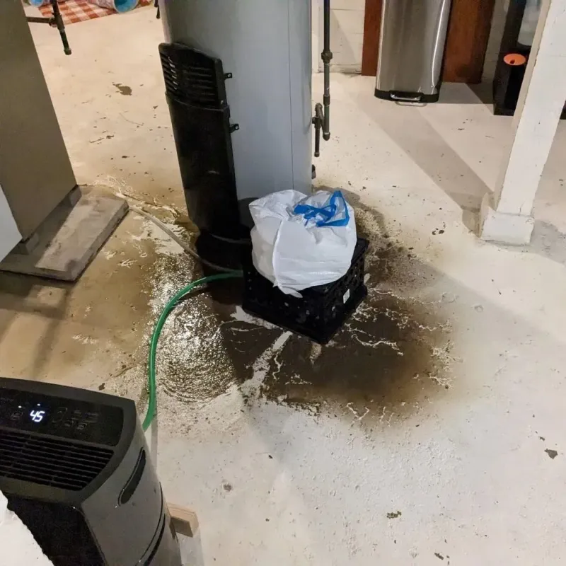Sewage Backup Cleanup Service in Andover, MN
